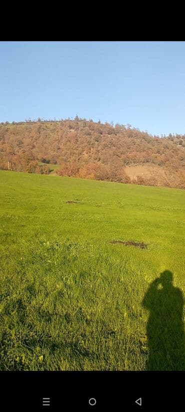 Гаражи: 24 соток, Для строительства, Собственник, Бялядия (муниципалитет) at lalafo.az — 2 Гаражи: 24 соток, Для строительства, Собственник, Бялядия (муниципалитет) — 2