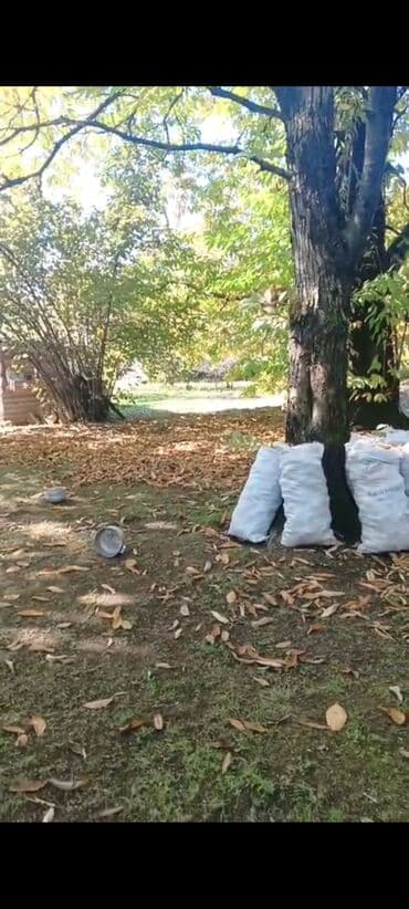 Qəbələ rayonu Vəndam kəndi torpaq sahəsi satılır 10 sot qaz işıq su lalafo.az -da Qəbələ rayonu Vəndam kəndi torpaq sahəsi satılır 10 sot qaz işıq su