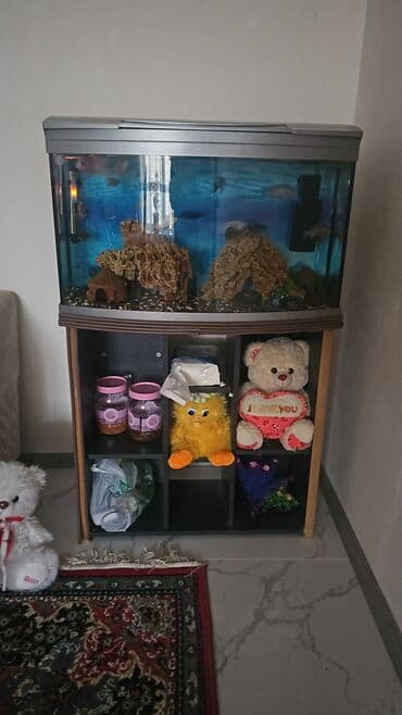 Akvarium-şkaf, Boş, 100 l, Ünvandan götürmə lalafo.az -da Akvarium-şkaf, Boş, 100 l, Ünvandan götürmə
