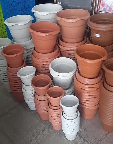 Bitki üçün dibçekler Böyük Gül Qabı | Plastik Dibçək | Dibçək | Gül at lalafo.az Bitki üçün dibçekler Böyük Gül Qabı | Plastik Dibçək | Dibçək | Gül