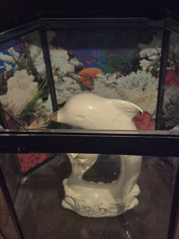 Akvarium və dekorativ heykəl - Şüşə akvarium: çoxbucaqlı (beşbucağa lalafo.az -da Akvarium və dekorativ heykəl - Şüşə akvarium: çoxbucaqlı (beşbucağa
