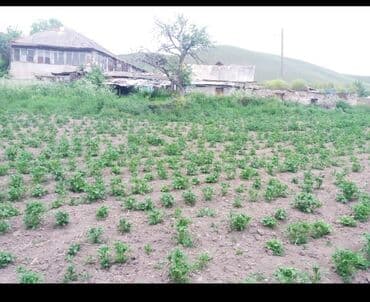 Şəmkir, 100 kv. m, 3 otaqlı, Qaz, İşıq, Su lalafo.az -da Şəmkir, 100 kv. m, 3 otaqlı, Qaz, İşıq, Su