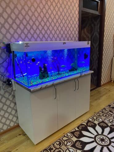 Dördbucaq akvarium, Balıqlarla birlikdə, 300 l, Pulsuz çatdırılma lalafo.az -da Dördbucaq akvarium, Balıqlarla birlikdə, 300 l, Pulsuz çatdırılma
