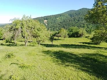 50 sot, Kənd təsərrüfatı, Mülkiyyətçi, Kupça (Çıxarış) lalafo.az -da 50 sot, Kənd təsərrüfatı, Mülkiyyətçi, Kupça (Çıxarış)