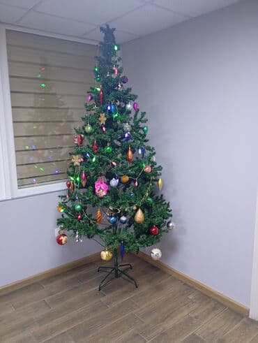 Yolkanın hündürlüyü 3.80 metrə qədərdir lalafo.az -da Yolkanın hündürlüyü 3.80 metrə qədərdir