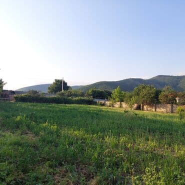 12 sot, Tikinti, Barter mümkündür, Kupça (Çıxarış) lalafo.az -da 12 sot, Tikinti, Barter mümkündür, Kupça (Çıxarış)