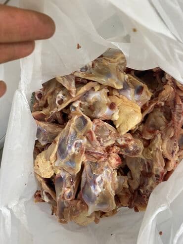 It, pisikler ucun yem
Yerinden goturme
Whatsapla elaqe
Kq- 0.50 qep lalafo.az -da It, pisikler ucun yem
Yerinden goturme
Whatsapla elaqe
Kq- 0.50 qep