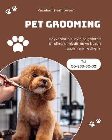 Bərbərlər | Saç kəsimi lalafo.az -da Bərbərlər | Saç kəsimi