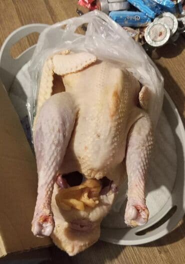 Соления: Fere ve xoruz hinduska temiz ya diri kim istese yazsin qaz bece de var at lalafo.az — 1 Соления: Fere ve xoruz hinduska temiz ya diri kim istese yazsin qaz bece de var — 1