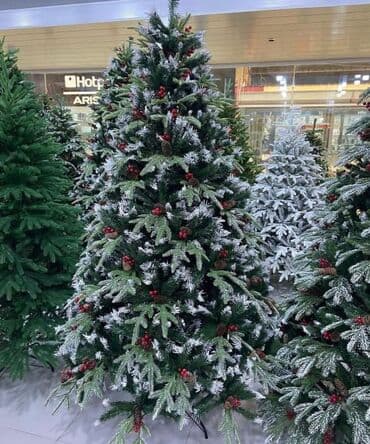 Yolka satılır. uzunluq 2metr 10 Santi. Endirim etmək olar lalafo.az -da Yolka satılır. uzunluq 2metr 10 Santi. Endirim etmək olar