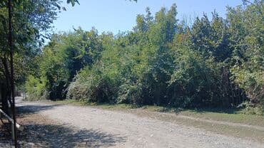 30 sot, Tikinti, Mülkiyyətçi, Kupça (Çıxarış) lalafo.az -da 30 sot, Tikinti, Mülkiyyətçi, Kupça (Çıxarış)