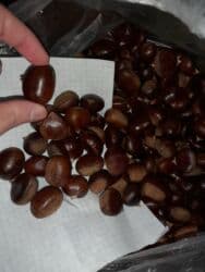 Соления: Şabalıd. Qəbələ Vəndam şabalıdı satılır. Təmiz öz həyətimizdəndir at lalafo.az — 3 Соления: Şabalıd. Qəbələ Vəndam şabalıdı satılır. Təmiz öz həyətimizdəndir — 3