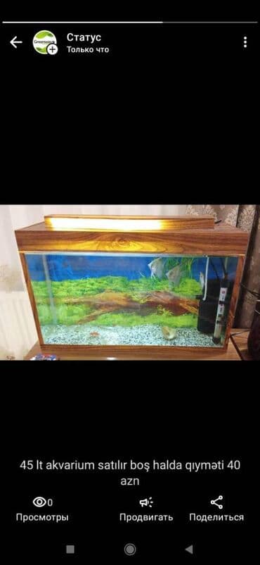 45 lt akvarium boş halda satılır qıyməti 40 azn lalafo.az -da 45 lt akvarium boş halda satılır qıyməti 40 azn