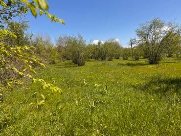 Гаражи: 30 соток, Для строительства, Возможен обмен, Купчая at lalafo.az — 2 Гаражи: 30 соток, Для строительства, Возможен обмен, Купчая — 2