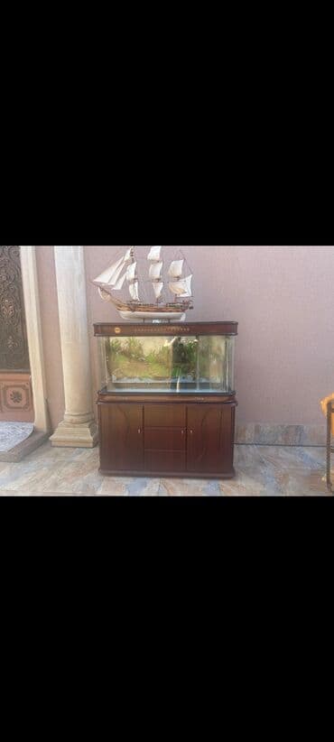 270 m akvarum kodden Gəncə şəhərində lalafo.az -da 270 m akvarum kodden Gəncə şəhərində