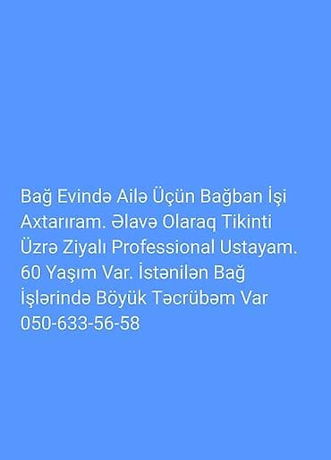 Bağban, 60 yaş, 5 ildən artıq təcrübə lalafo.az -da Bağban, 60 yaş, 5 ildən artıq təcrübə