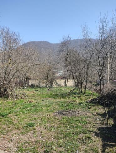 Реечные панели: 10 соток, Для бизнеса, Возможен обмен, Купчая at lalafo.az — 12 Реечные панели: 10 соток, Для бизнеса, Возможен обмен, Купчая — 12