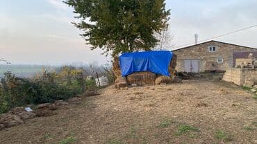 Kənd təsərrüfatı lalafo.az -da Kənd təsərrüfatı