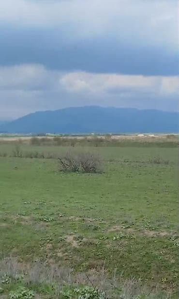 Kənd təsərrüfatı lalafo.az -da — 1 Kənd təsərrüfatı — 1