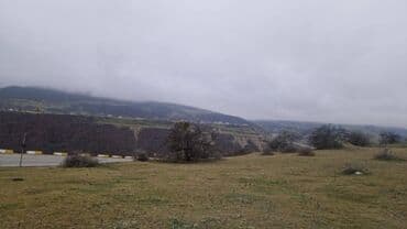 81 sot, Biznes üçün, Mülkiyyətçi, Kupça (Çıxarış) lalafo.az -da 81 sot, Biznes üçün, Mülkiyyətçi, Kupça (Çıxarış)