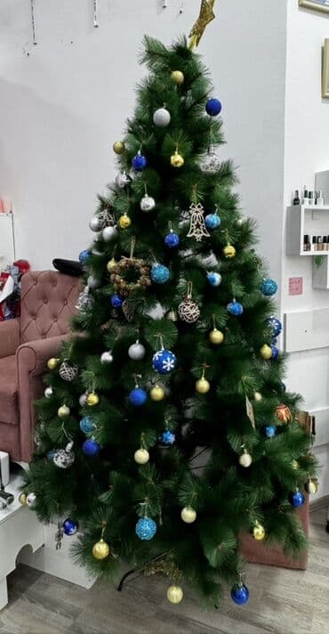 Yeni il ağacları lalafo.az -da Yeni il ağacları