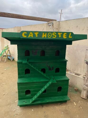 Pişiklər ücün yuva izolyasıyali 12-16 pişik üçün,hər ölcüdə it və lalafo.az -da Pişiklər ücün yuva izolyasıyali 12-16 pişik üçün,hər ölcüdə it və