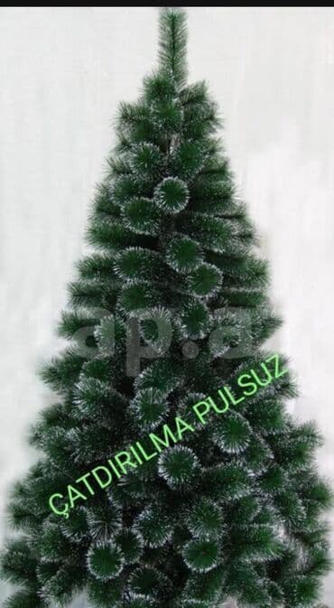 Sifarisle eve getiririk Çatdırılma pulsuz whatsapp aktivdir 🌲🌲🌲1.80sm lalafo.az -da Sifarisle eve getiririk Çatdırılma pulsuz whatsapp aktivdir 🌲🌲🌲1.80sm