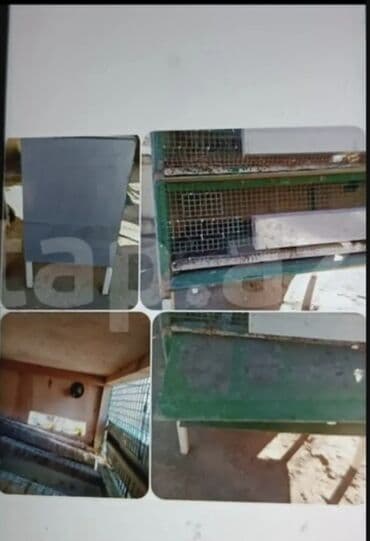 Qəfəs satılır qiyməti 50 manata real alıcılar endirim olacaq barter lalafo.az -da Qəfəs satılır qiyməti 50 manata real alıcılar endirim olacaq barter