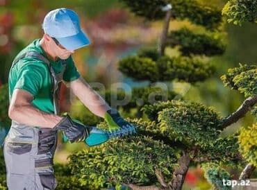 BAĞ EVİNDƏ AİLƏVİ QALMAQ ŞƏRTİLƏ BAĞBAN İŞİ AXTARIRAM 14 İLLİK lalafo.az -da BAĞ EVİNDƏ AİLƏVİ QALMAQ ŞƏRTİLƏ BAĞBAN İŞİ AXTARIRAM 14 İLLİK