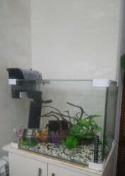 Aytən 🌺 akvarium satılır – şəkildə nə varsa hamısı verilir. Məhsul lalafo.az -da Aytən 🌺 akvarium satılır – şəkildə nə varsa hamısı verilir. Məhsul