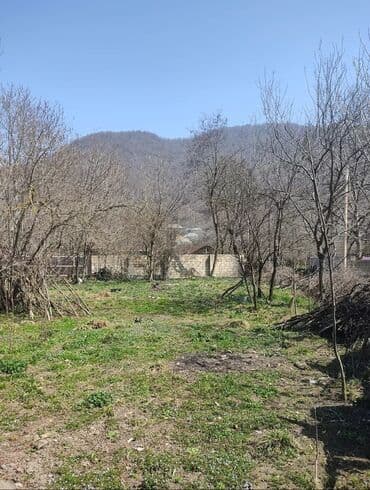 Реечные панели: 10 соток, Для бизнеса, Возможен обмен, Купчая at lalafo.az — 8 Реечные панели: 10 соток, Для бизнеса, Возможен обмен, Купчая — 8