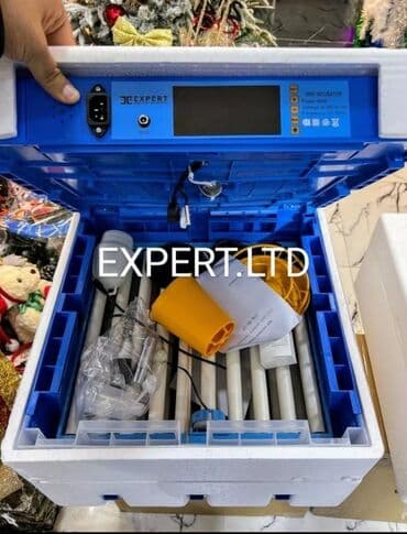 Экстракторы масла: 100 яиц, Китай, Заводское производство, Полностью автоматическая, Для всех видов птиц at lalafo.az — 2 Экстракторы масла: 100 яиц, Китай, Заводское производство, Полностью автоматическая, Для всех видов птиц — 2