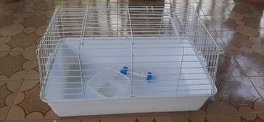 Geniş qəfəs – dovşan, heyvan balaları və ya kiçik gəmiricilər üçün - lalafo.az -da Geniş qəfəs – dovşan, heyvan balaları və ya kiçik gəmiricilər üçün -