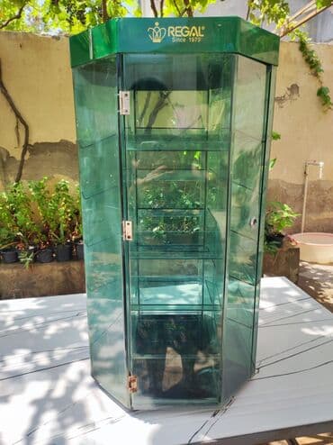 ПО для бизнеса: Şəffaf yaşıl rəngli, altıbucaqlı formada şüşə vitrin. Vitrinin yuxarı at lalafo.az — 4 ПО для бизнеса: Şəffaf yaşıl rəngli, altıbucaqlı formada şüşə vitrin. Vitrinin yuxarı — 4