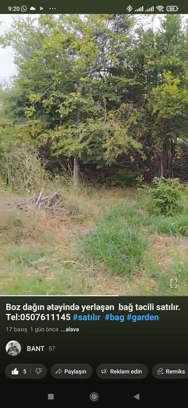 Kənd təsərrüfatı lalafo.az -da — 6 Kənd təsərrüfatı — 6