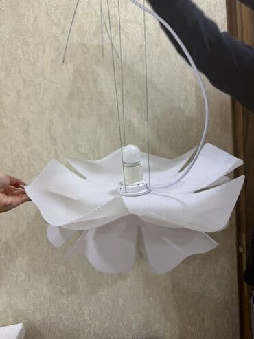 Çılçıraq, 1 lampa, Plastik lalafo.az -da Çılçıraq, 1 lampa, Plastik