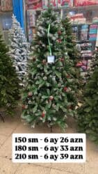 Yeni il yolkası, bəzək üçün uyğundur. Keyfiyyətli, sıx budaqlı və lalafo.az -da Yeni il yolkası, bəzək üçün uyğundur. Keyfiyyətli, sıx budaqlı və