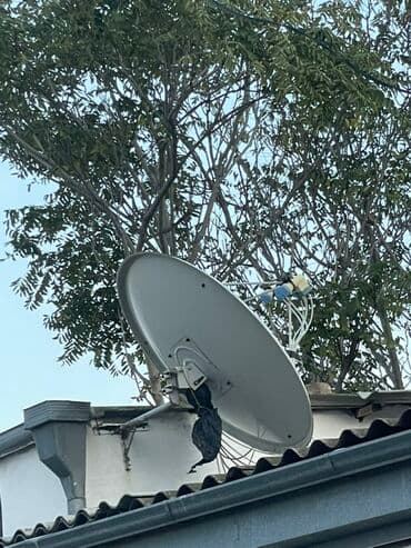 Peyk anten sistemi – ofset tipli parabolik çanaq və çoxlu çıxışlı LNB lalafo.az -da Peyk anten sistemi – ofset tipli parabolik çanaq və çoxlu çıxışlı LNB