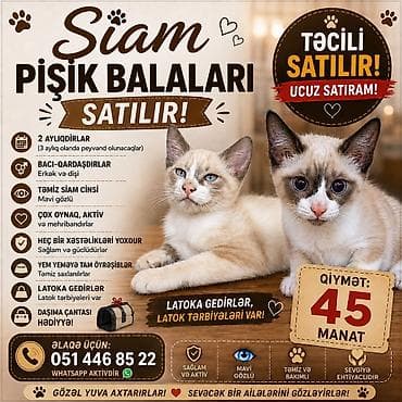 Siam lalafo.az -da Siam