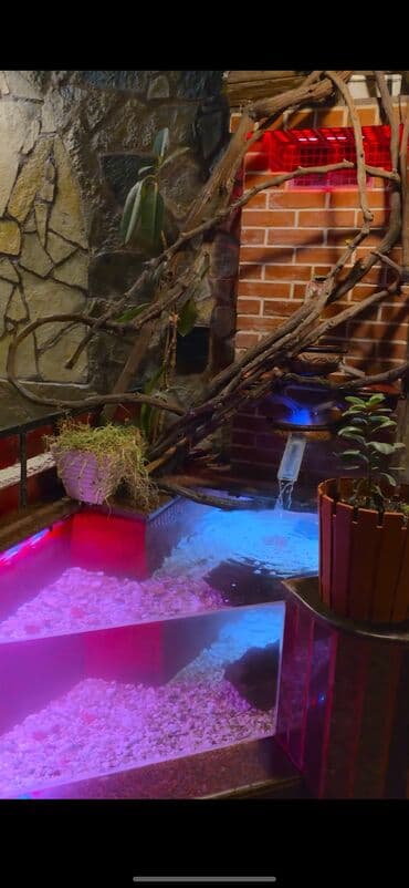 9 otaq, 210 kv. m, Kredit yoxdur, Yeni təmirli lalafo.az -da — 21 9 otaq, 210 kv. m, Kredit yoxdur, Yeni təmirli — 21