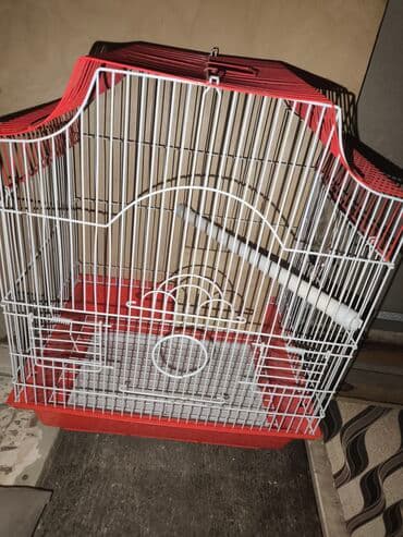 Papuqay üçün qəfəs oyuncaqları ilə birlikdə satılır. Клетка для lalafo.az -da Papuqay üçün qəfəs oyuncaqları ilə birlikdə satılır. Клетка для