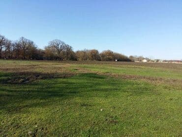 200 sot, Biznes üçün, Maklerlər narahat etməsin, Kupça (Çıxarış) lalafo.az -da 200 sot, Biznes üçün, Maklerlər narahat etməsin, Kupça (Çıxarış)