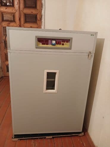 1100 yumurta lalafo.az -da 1100 yumurta