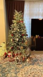 Sabiwbaki…. Yolka satilir 180sm boy (ustunde hecne verilmir) 100man lalafo.az -da Sabiwbaki…. Yolka satilir 180sm boy (ustunde hecne verilmir) 100man