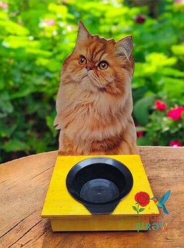 Миски для воды и еды: Məhsul: Pişik temalı qidalandırıcı stendlər - Dizayn: Taxta əsaslı at lalafo.az — 9 Миски для воды и еды: Məhsul: Pişik temalı qidalandırıcı stendlər - Dizayn: Taxta əsaslı — 9