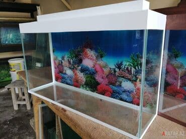 Boş, 100 l, Ünvandan götürmə lalafo.az -da Boş, 100 l, Ünvandan götürmə