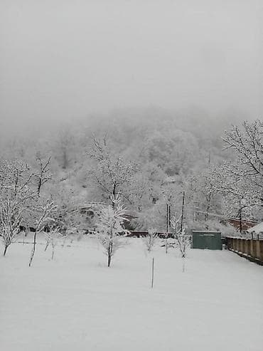 10 sot, Tikinti, Makler lalafo.az -da 10 sot, Tikinti, Makler