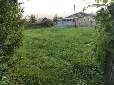 3 sot, Kənd təsərrüfatı, Maklerlər narahat etməsin, Kupça (Çıxarış) lalafo.az -da 3 sot, Kənd təsərrüfatı, Maklerlər narahat etməsin, Kupça (Çıxarış)