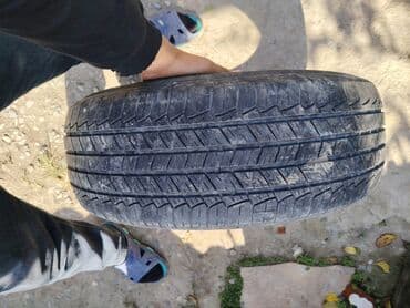 225/65/17 təkər idealdı 30 manat dı ucuz və keyfiyyətli təkərdi lalafo.az -da 225/65/17 təkər idealdı 30 manat dı ucuz və keyfiyyətli təkərdi