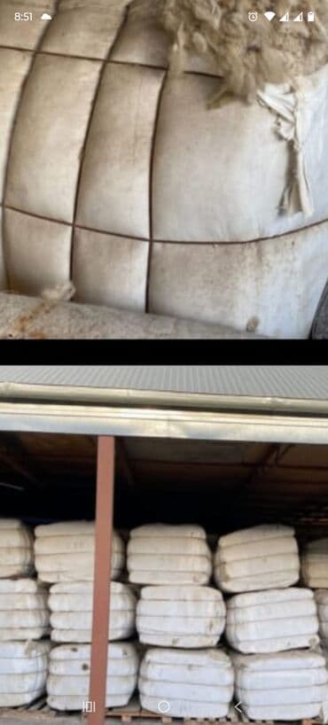 Yuna balyaları – preslənmiş və iplerle möhkəmləndirilmiş böyük lalafo.az -da Yuna balyaları – preslənmiş və iplerle möhkəmləndirilmiş böyük